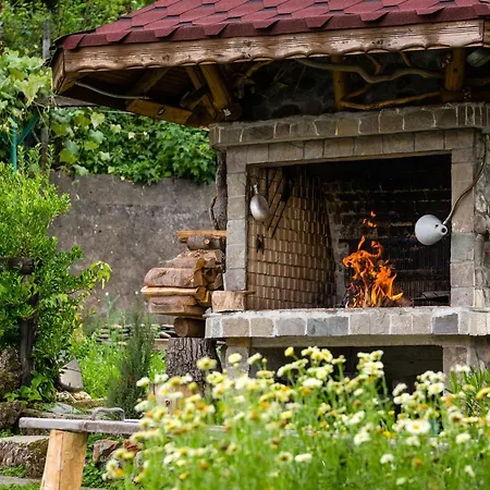 андреева къща