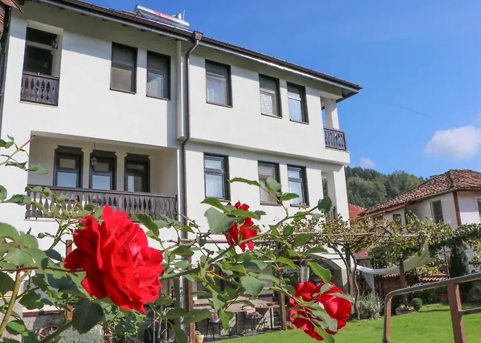 Pensjonat андреева къща Złatograd